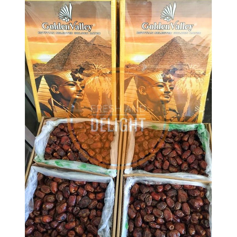 

Kurma Madu Mesir Golden Valley Import