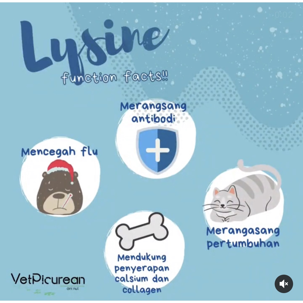 VETPICUREAN Chubby Gummy Essentials Vitamin Kucing dan Anjing ( Steril Anti Stress Penambah Nafsu Makan )