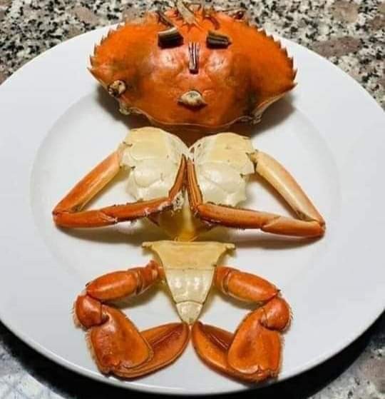 Alat Pelepas Pin Soket Sekun Tools Pin Extractor Kit 