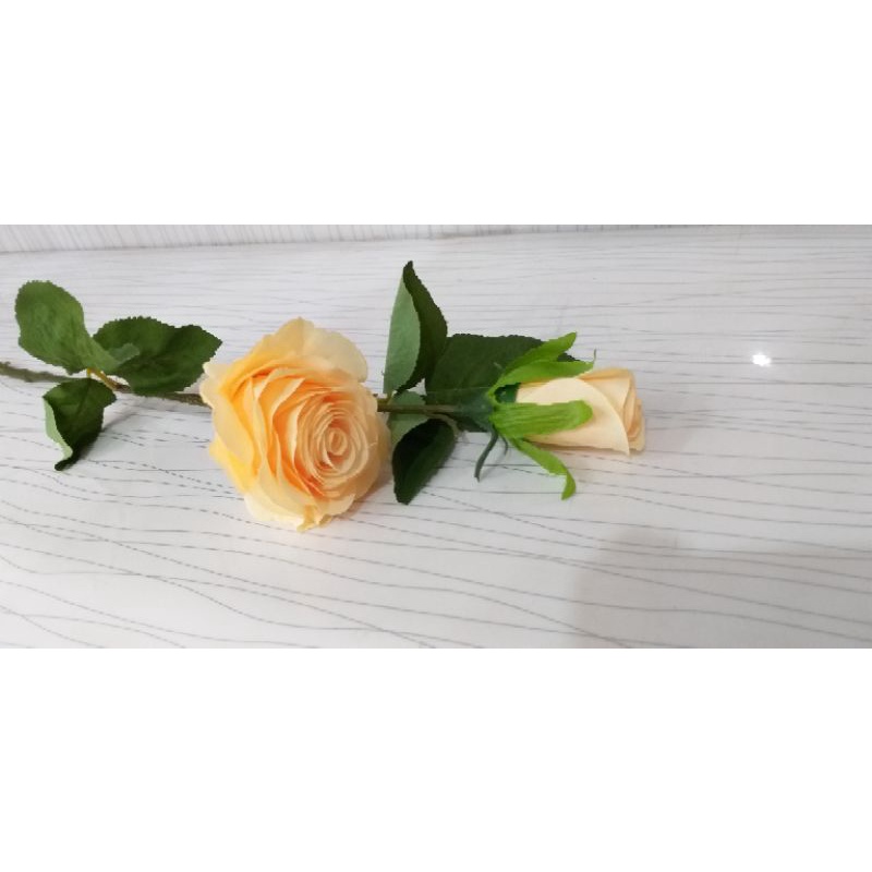 Bunga Mawar / Mawar Merah / Mawar Putih / Mawar Salem