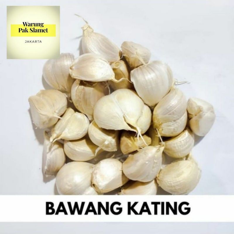 

Bawang putih kating