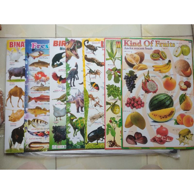 Poster Hewan Binatang Ikan Burung Buah dan Tumbuhan anak
