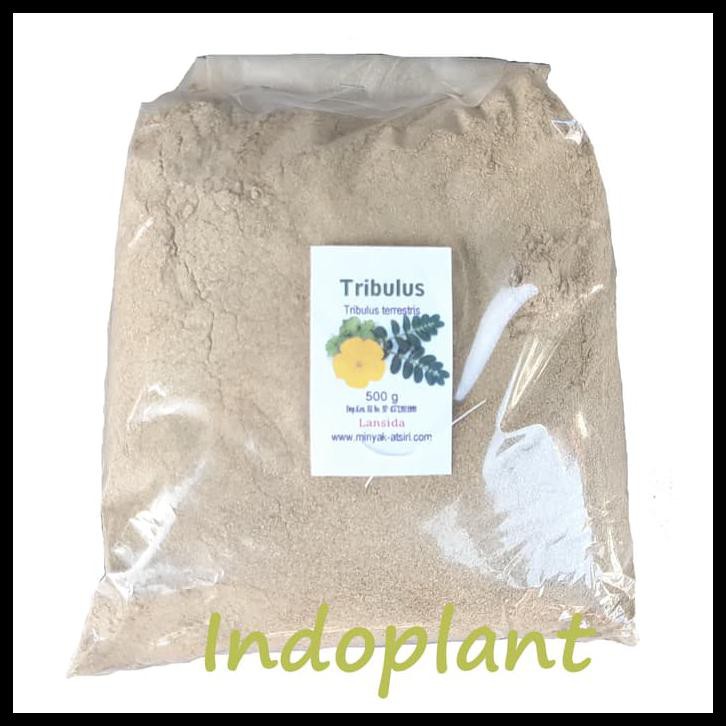 

Serbuk Tribulus Terrestris Murni 500 G Bubuk Rujak Polo Powder Pure