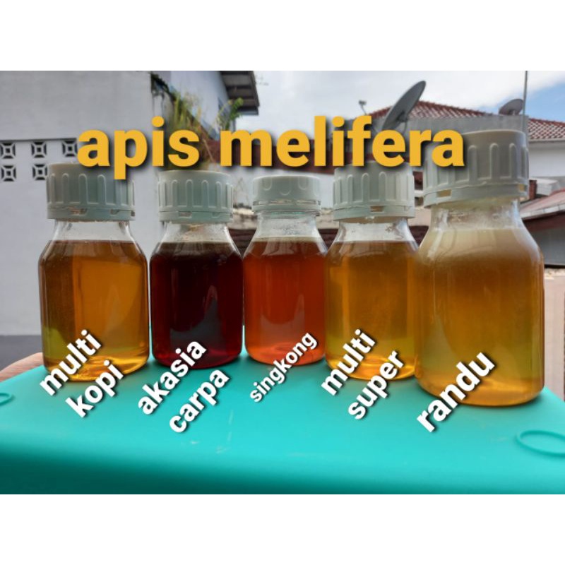 

Madu Murni Apis Melifera Berbagai Ukuran