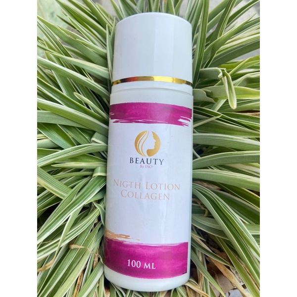 HB Lotion Collagen Malam bpom