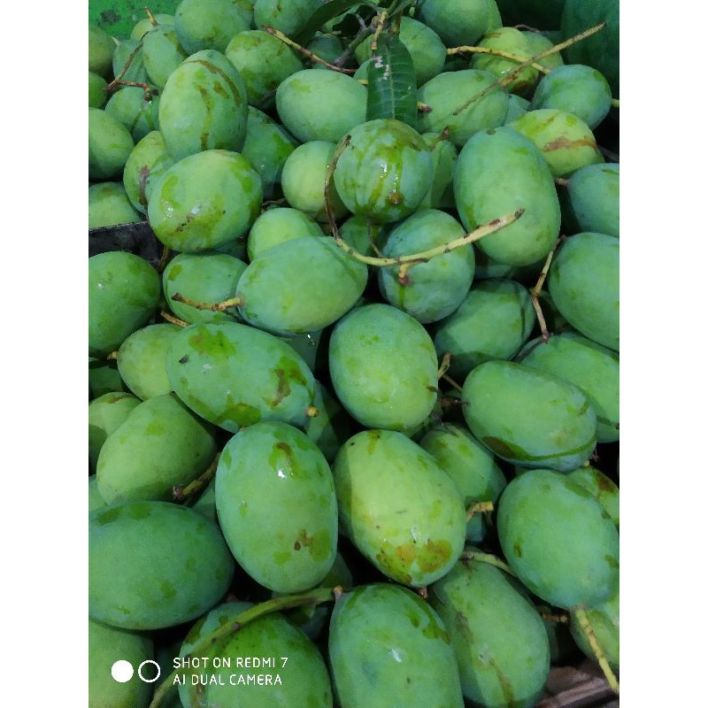 

Mangga kweni harum 1kg