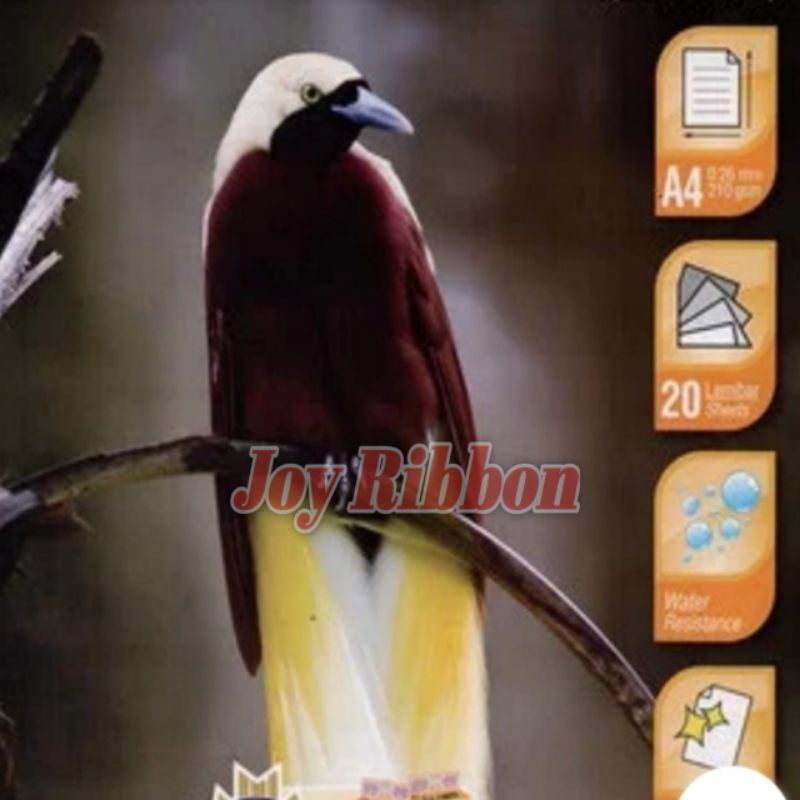 

Glosy Photo Paper A4 210 GSM Merk Data Print