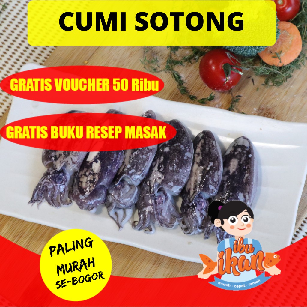 

CUMI SOTONG SONTONG 500 GRAM SEGAR BASAH KONDISI FROZEN BEKU SEDIKIT TINTA