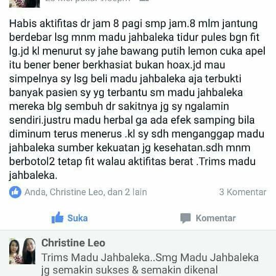 

bf011bb Madu Jahbaleka (Varian Jahe Merah 330Ml) - Jahe Merah Ds201Fs