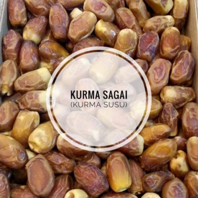 

KURMA - kurma Madinah susu - kurma susu sagai - kurma susu - kurma murah - oleh oleh haji dan umroh