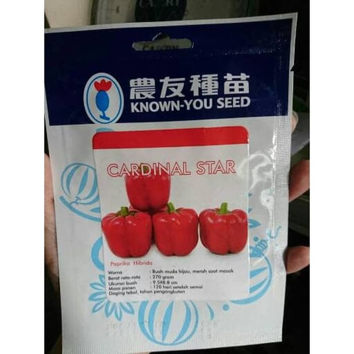 Benih Paprika Cardinal Star Known You Seed (100 Benih)