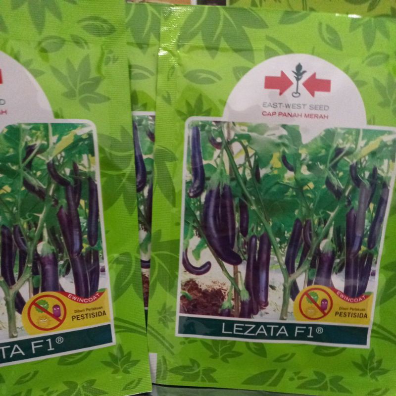 Benih Terong Ungu Lezata 1100 butir