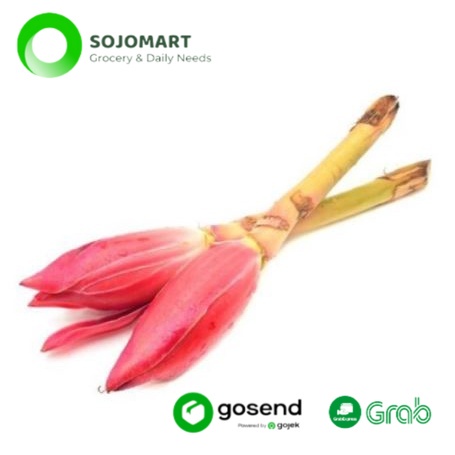 

Kecombrang Segar Murah per 1 Buah Sayur Online Medan