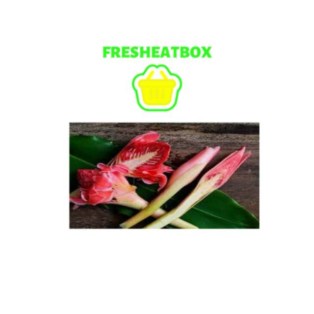 

KECOMBRANG / RIAS / HOJE Rp. 10.000