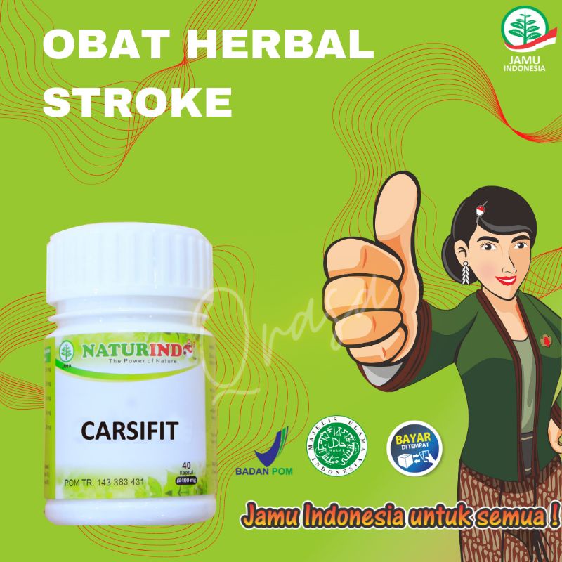 obat herbal Naturindo stroke