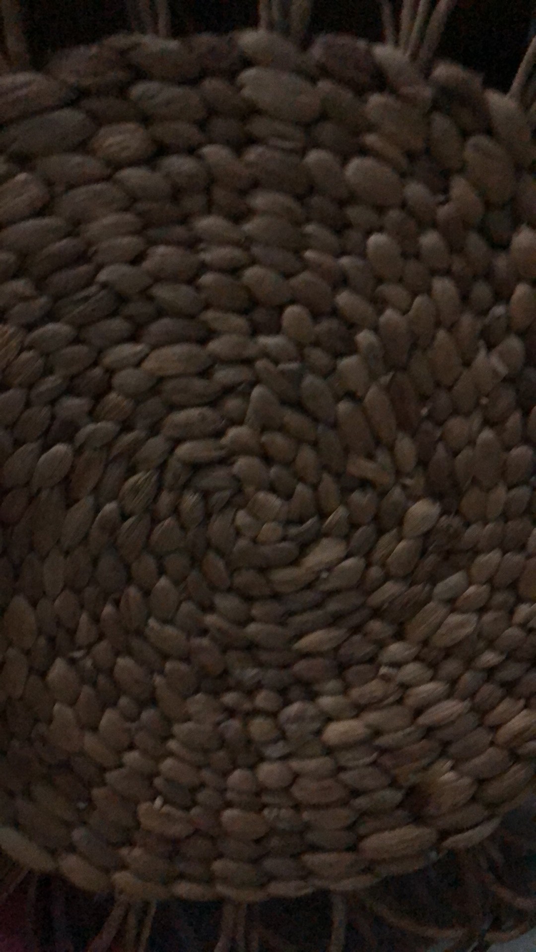 Bayar Di Tempat - Placemat Enceng Gondok / Tatakan Piring Enceng Gondok U 30cm Alas Piring