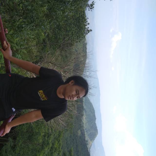 antonsukmawijaya6