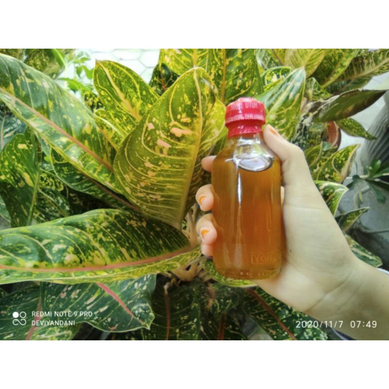 

Madu Asli Murni 100% Tanpa Campuran