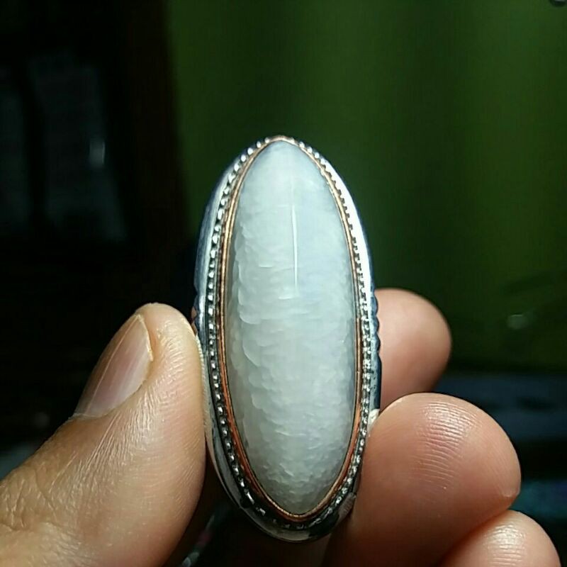 pandan kapas betok super semu lumut