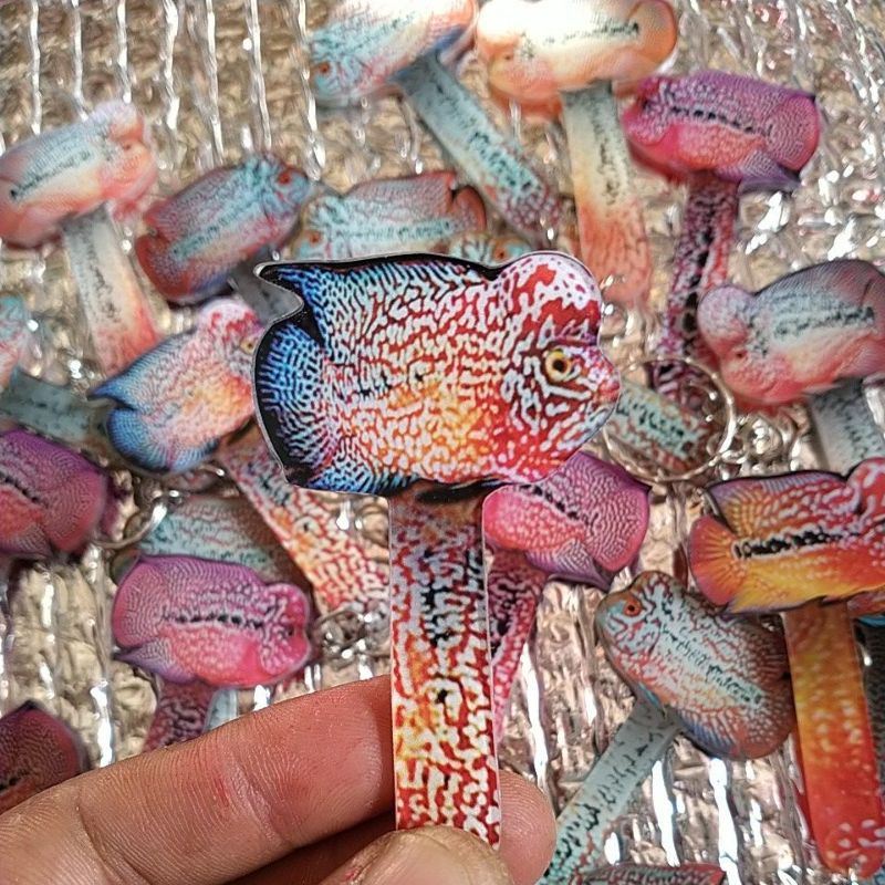 Wayang Louhan & Parot(untuk ikan louhan agar semakin aktip dan Tes mental)