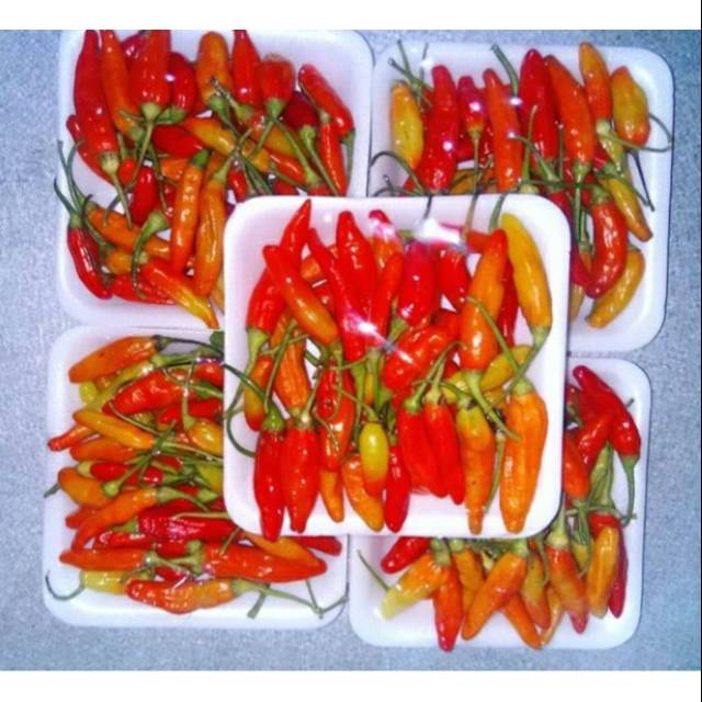 

Cabe rawit merah 100gr/pack