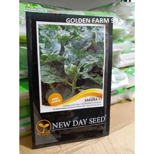 Unik Benih kailan hibrida SAKURA F1 New day seed harga murah Murah