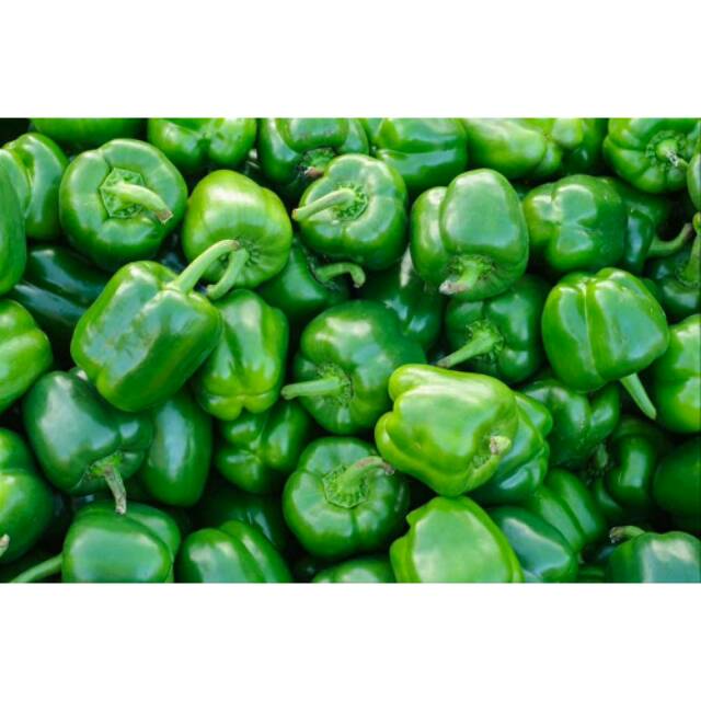 

PAPRIKA HIJAU FRESH Harga per 500gr