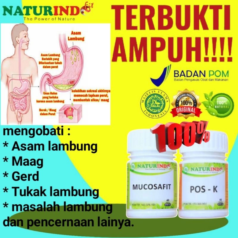 OBAT ASAM LAMBUNG MAAG  lambung kronis nyeri lambung masalah lambung DAN PENCERNAAN BPOM MUI ISI 40 KAPSUL-Paket lambung
