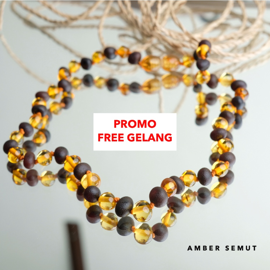 AMBER SEMUT - PROMO FREE GELANG AMBER - Kalung Amber Baltic Original