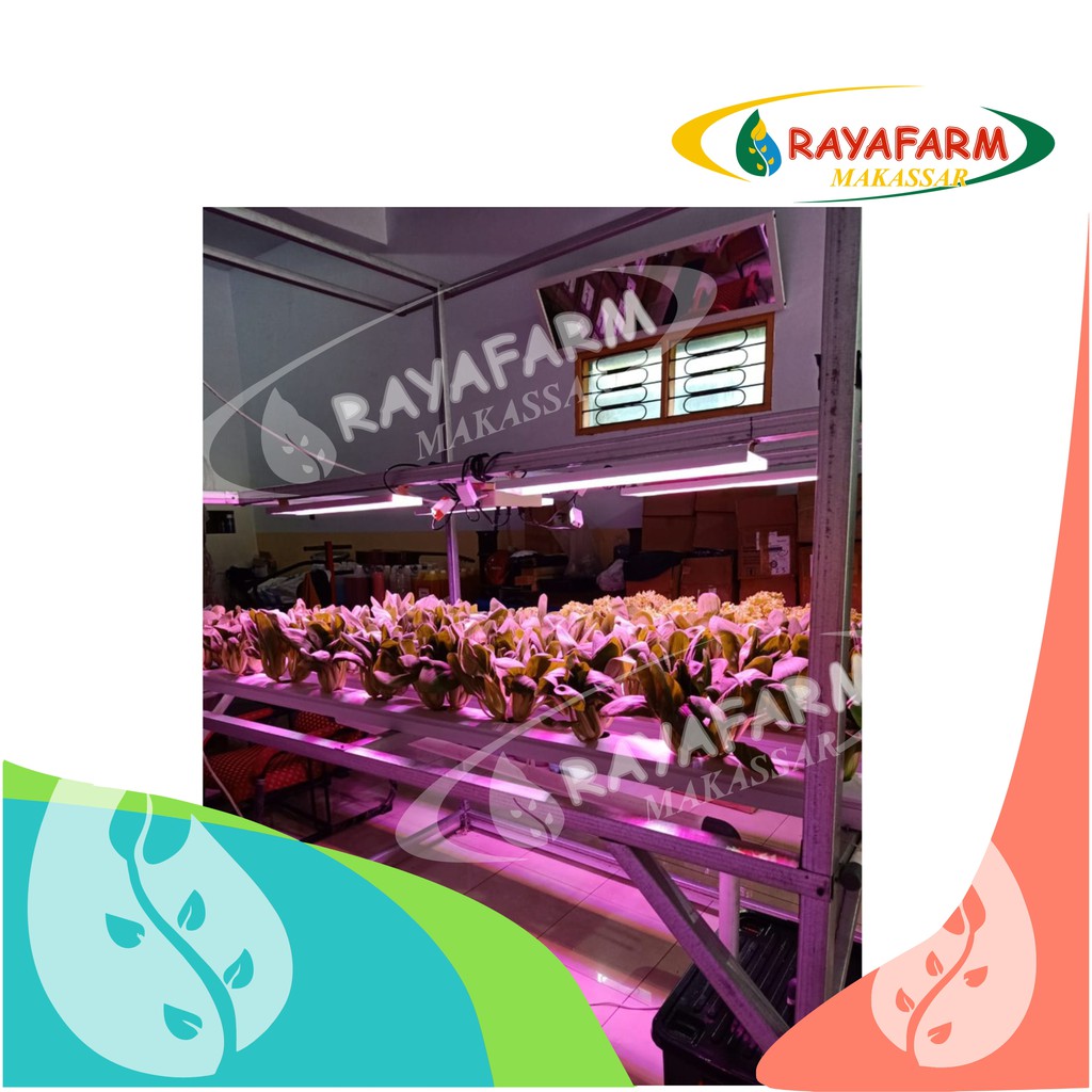 PAKET MINI NFT 40 LUBANG HIDROPONIK