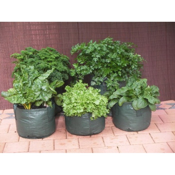 Vegetable Planter bag SMALL planterbag  polibek polibag pot tanaman obat hias bunga sayur sayuran