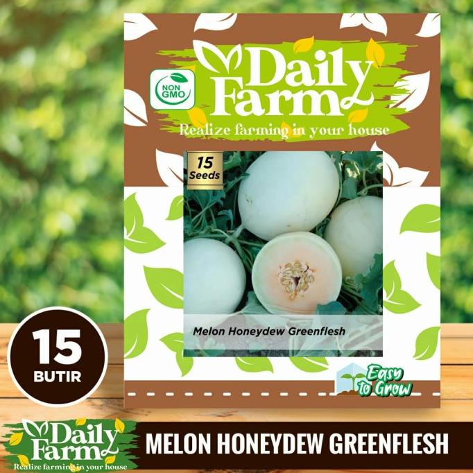 Benih Buah Melon Putih - Greenflesh Honeydew - Daily Farm
