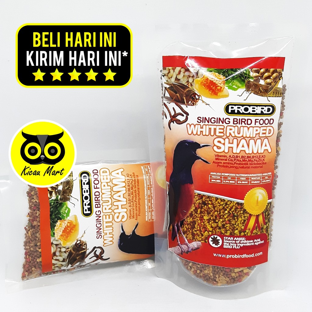 PAKAN MAKANAN HARIAN BURUNG MURAI KACER VOER PUR SINGING BIRD FOOD WHITE RUMPED SHAMA PROBIRD PRDSMS