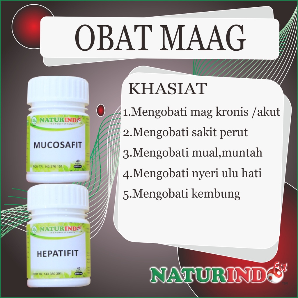 obat maag maah kronis ampuh asam lambung herbal maag kronis bau mulut akut asam lambung kronis asam lambung pusing bau mulut menahun tipes typus-MAAG KRONIS