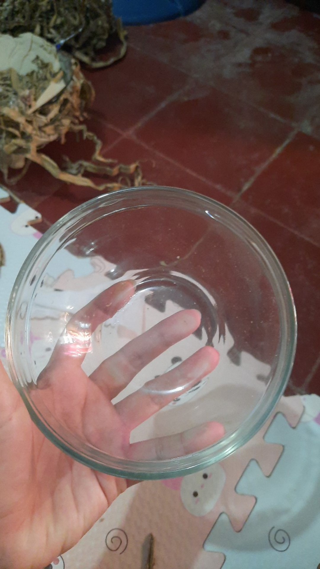 1 Pc Mangkok Saji Kaca Bening Polos Ukuran 5,5 Inch