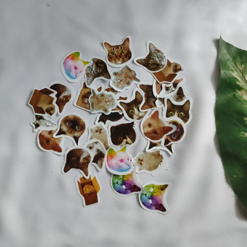 

Cat Sticker untuk Aesthetic Journal