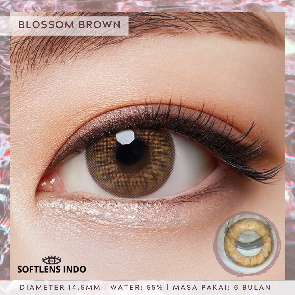 

Softlens kitty kawaii blossom brown/ coklat