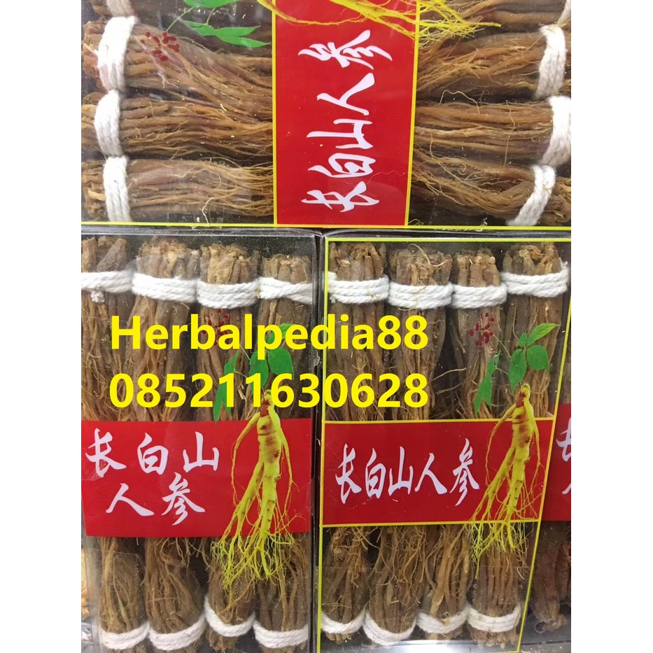 

Akar ginseng merah Korea 红参须 500 gram kualitas premium