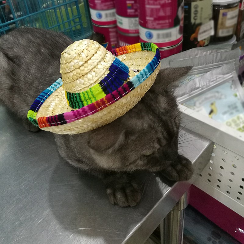 Topi Sombrero Mini Adjustable Bahan Jerami Untuk Anjing / Kucing