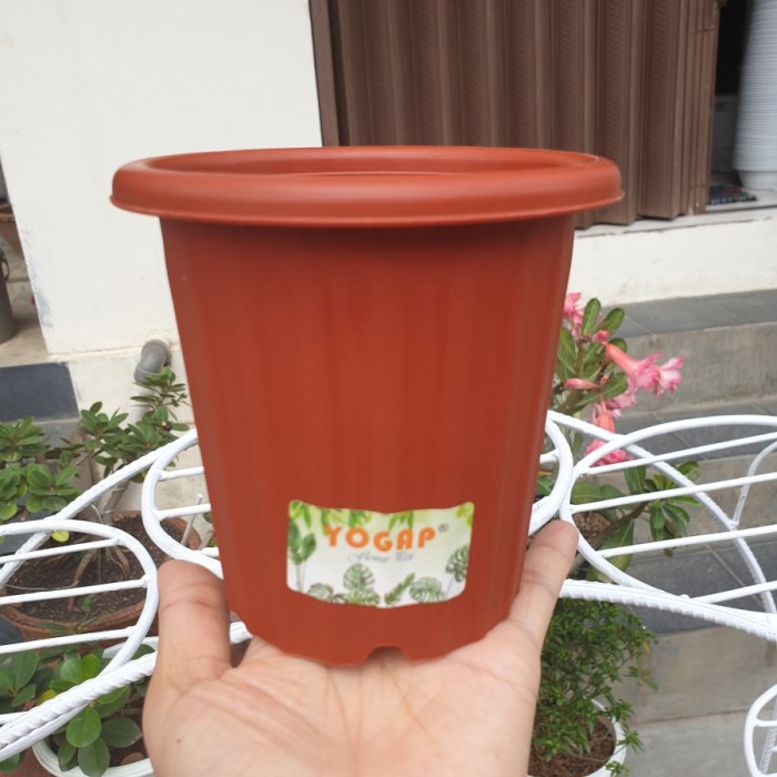 (LUSINAN) Pot YOGAP YPT 10 (12pcs) Pot Merah Bata Pot Putih Pot Tinggi