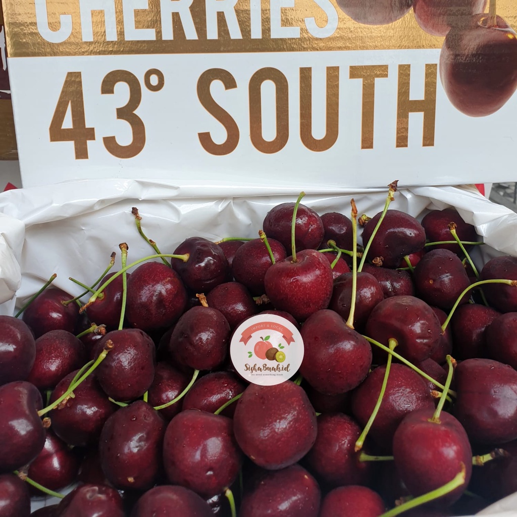 CHERRY 43 SOUTH / CERI IMPORT TASMANIAN BEST QUALITY