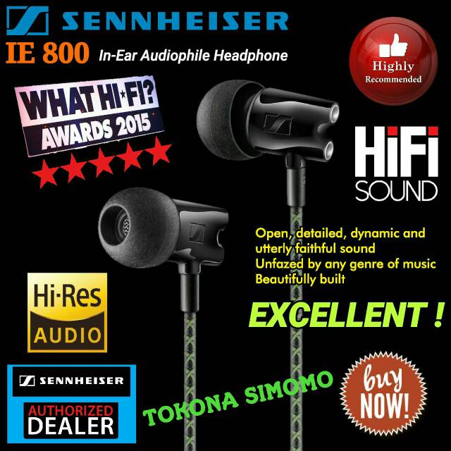 Sennheiser IE 800 / IE800 Audiophile Ear Canal Headphone Original