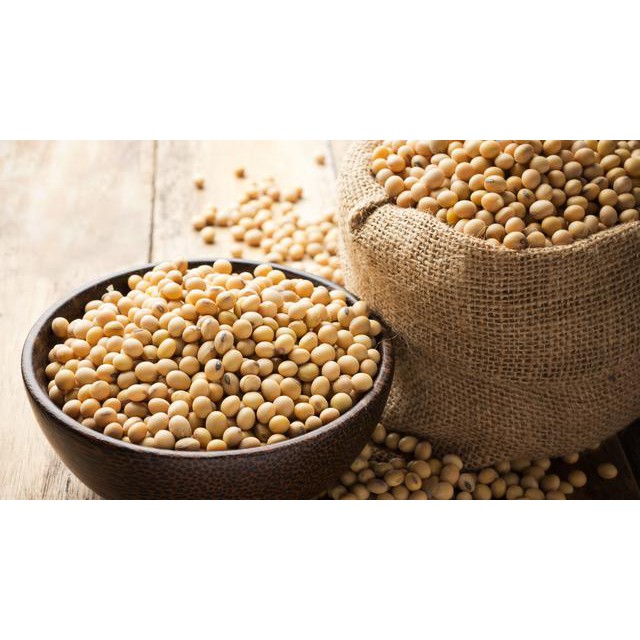 

kacang kedelai / kedele 250 gr