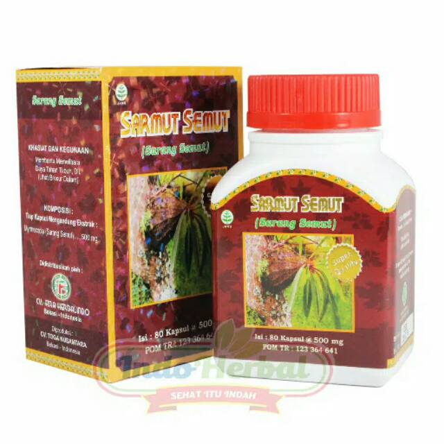 Sarmut semut kapsul | sarmut | sarang semut |