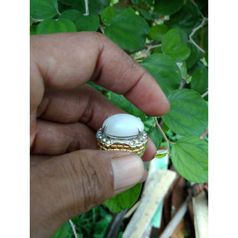 borongan natural cincin batu akik 9pcs