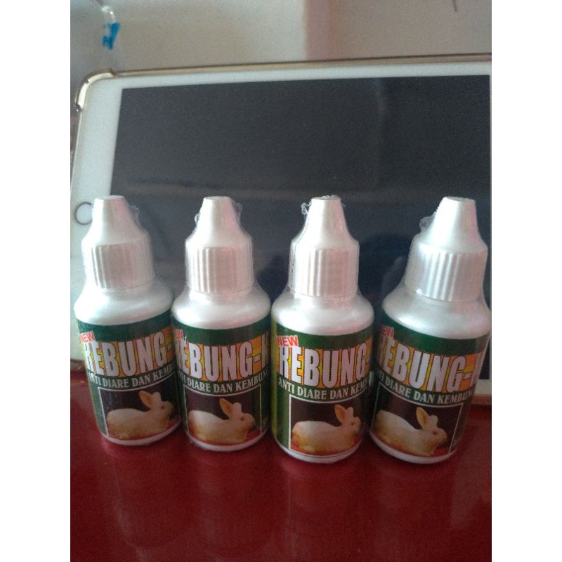 REBUNG K OBAT ANTI DIARE DAN KEMBUNG KELINCI