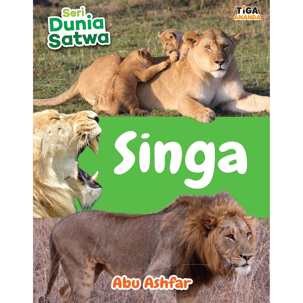 Seri Dunia Satwa: Singa