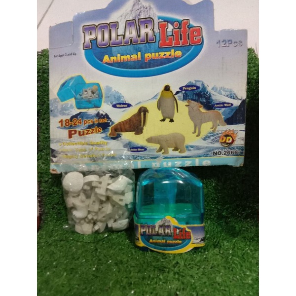 Sale- Polar Live Animals Puzzle Polar Bear