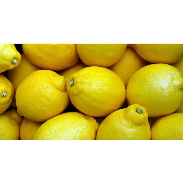 

BUAH SEGAR ASEM LEMON IMPORT SEGAR 250GR 500GR 1KG