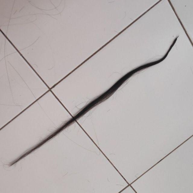 rambut sambung 50cm per helai asli hair extension real panjang MINIMAL 20HELAI-1 helai STDR smooth